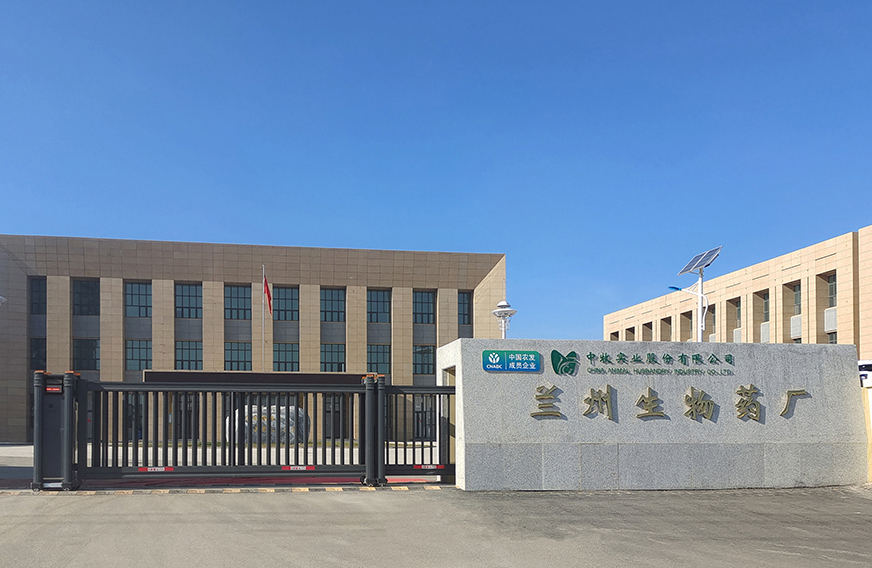 兰州中牧